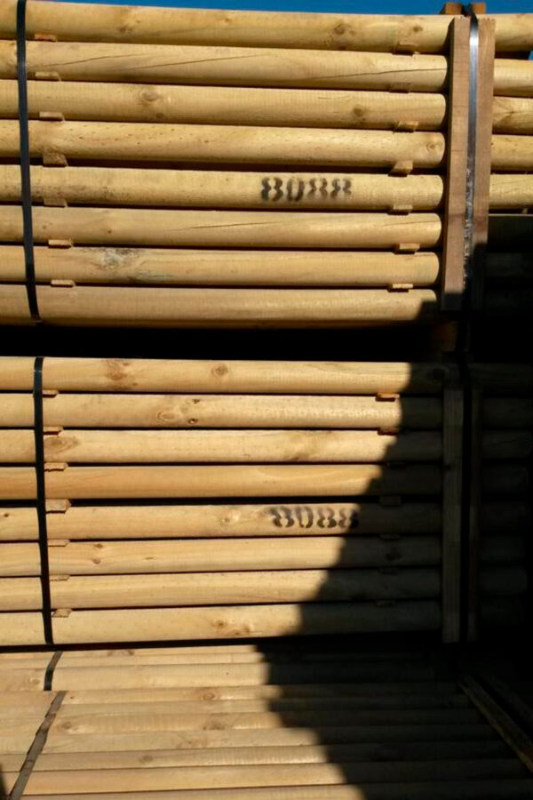 Madera de Pino Radiata en Bruto - Imagen 2